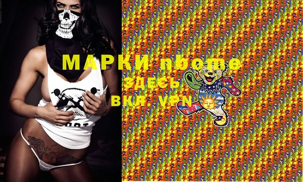стафф Армянск