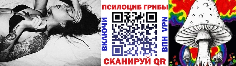 Галлюциногенные грибы Psilocybine cubensis Урюпинск